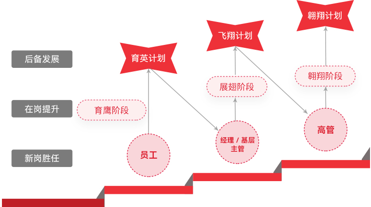 南宫NG·28 "雄鹰计划"人才梯队培养